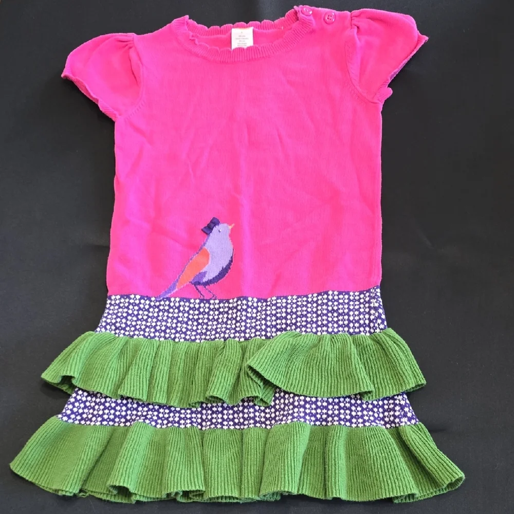 Gymboree Girls 6 Bird Ruffle Pink and Green Kids Dress